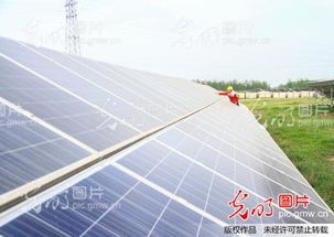 陽光點(diǎn)亮鄉(xiāng)村 江蘇徐州光伏發(fā)電站助力鄉(xiāng)村振興